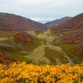 Грузия, Аджария